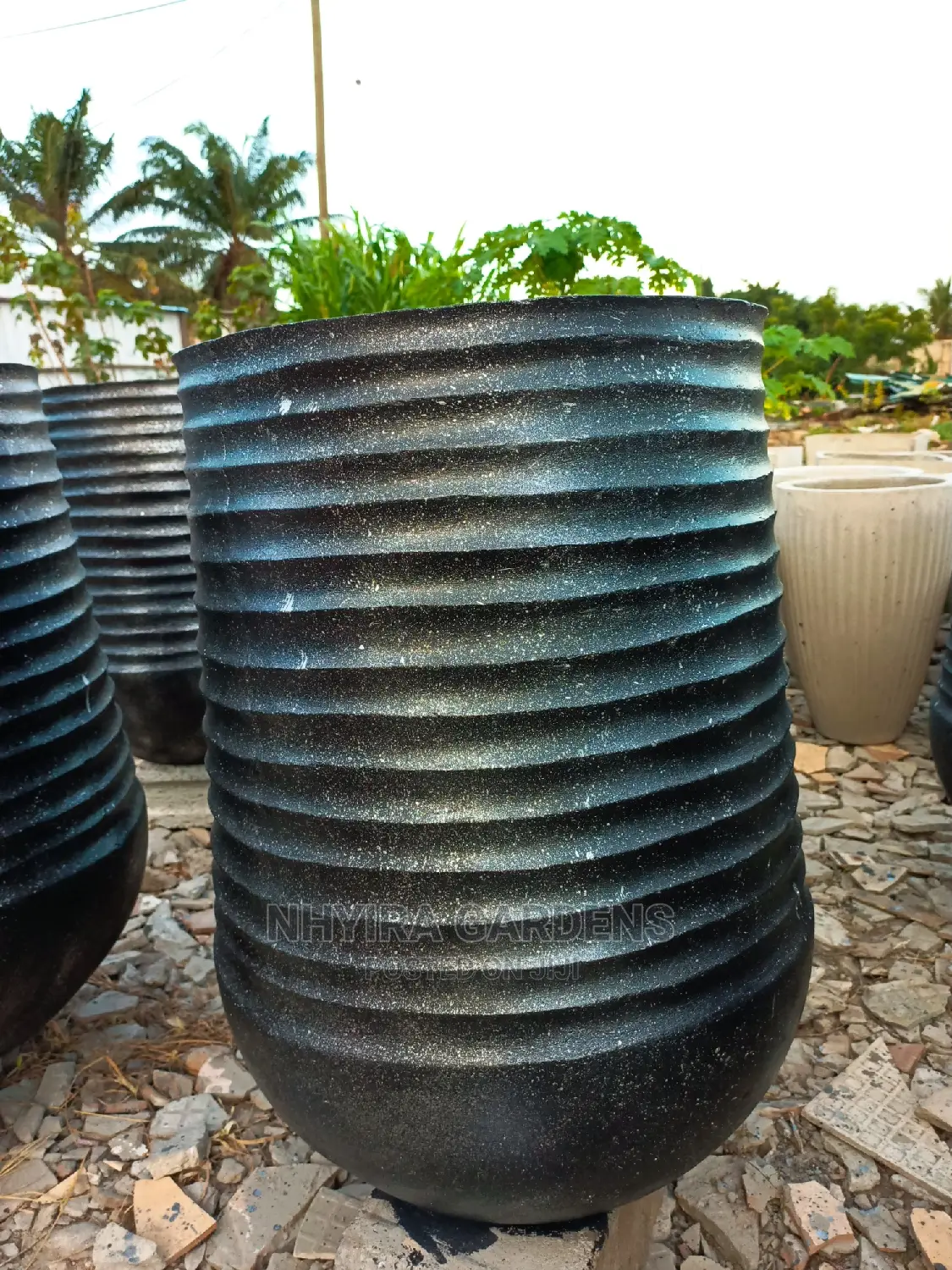 Modern Flowers Pots