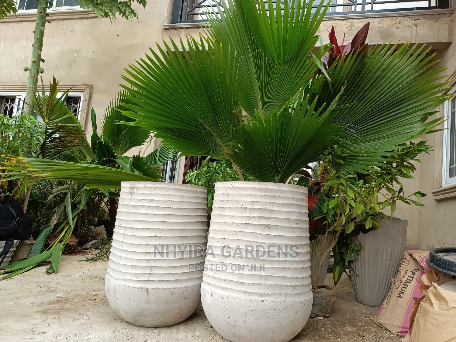 Modern Flowers Pots