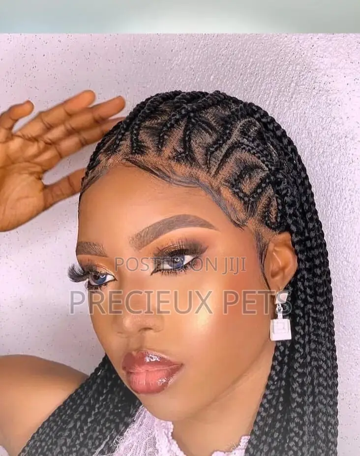 Braided Wigs 002