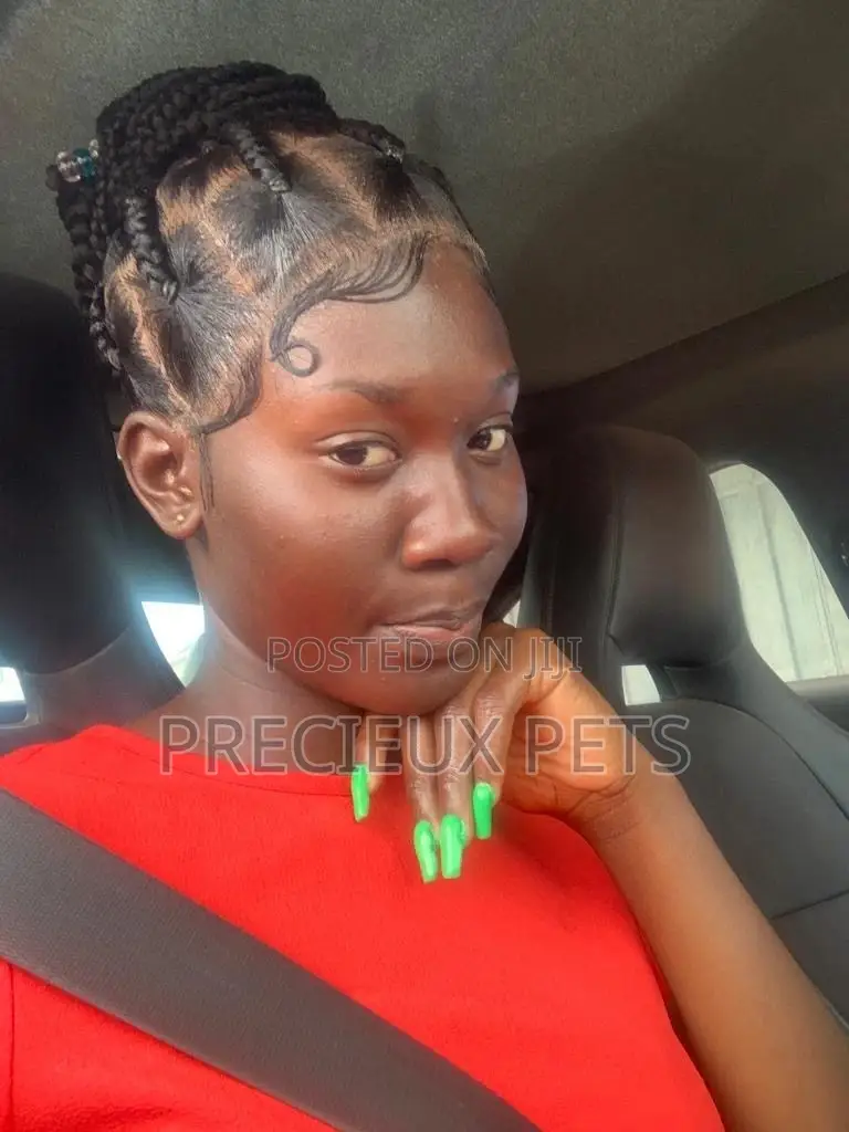 Box Braid Wig 001