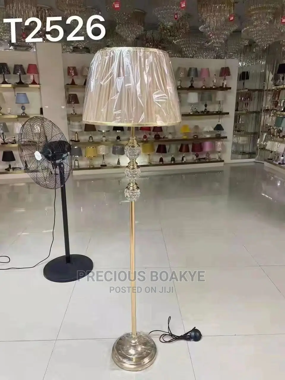 Floor Light/Lamp