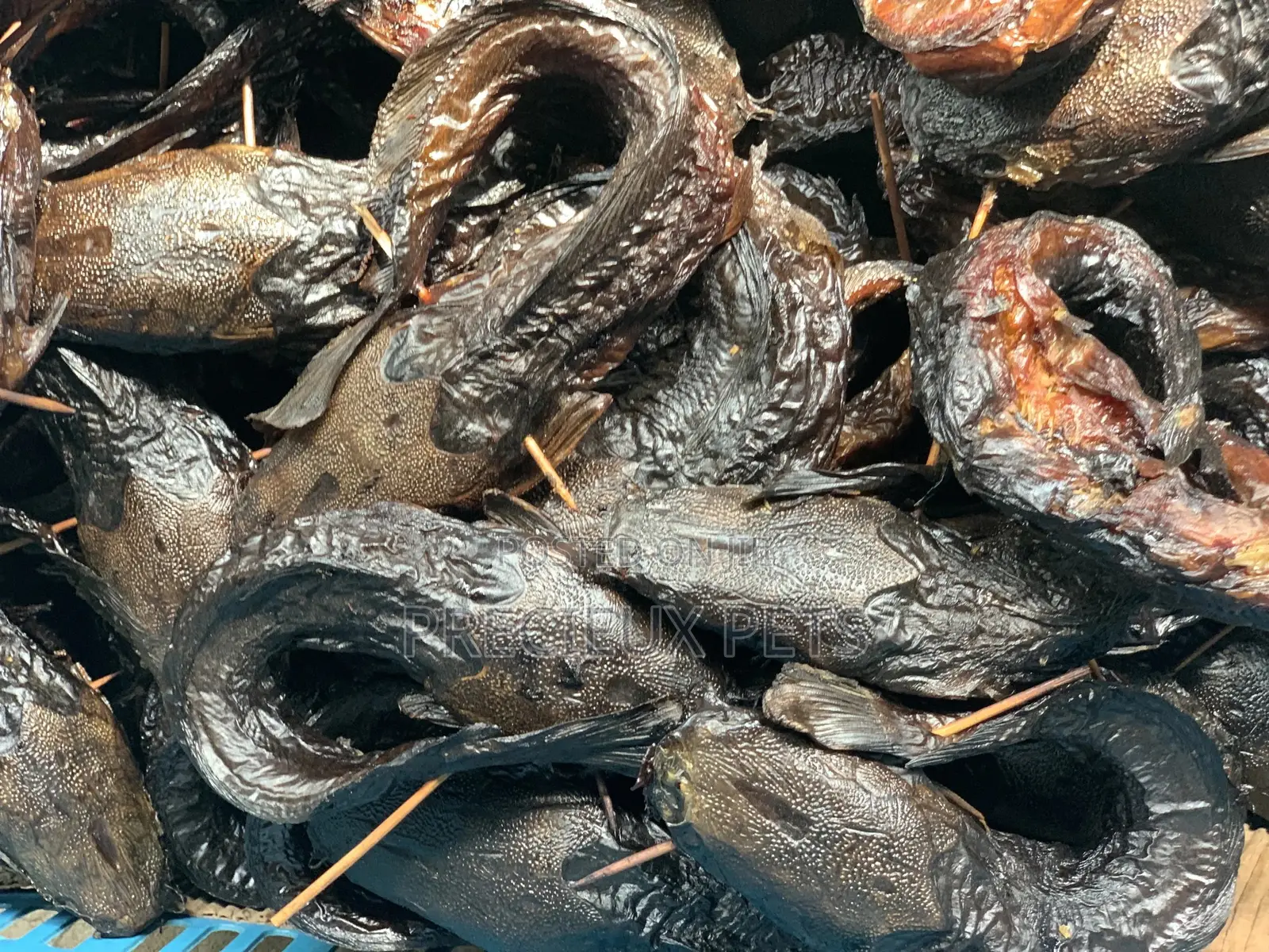 Dry Catfish