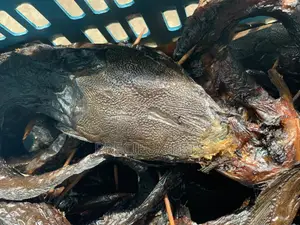 Dry Catfish