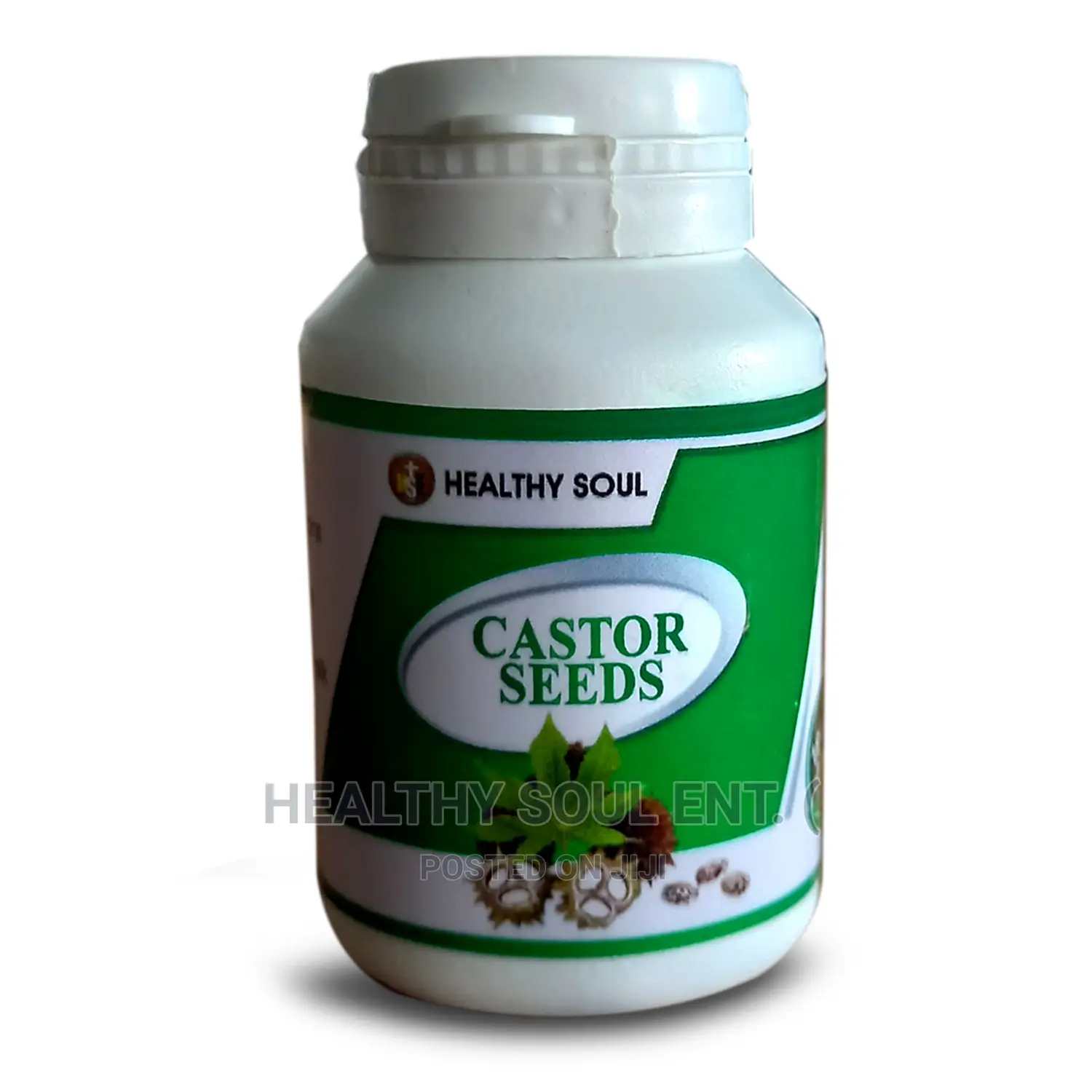 Castor Seeds
