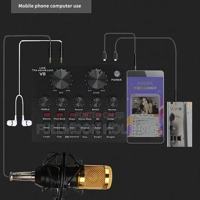 V8 Sound Card for Pc Mobile Phones Singing and Record