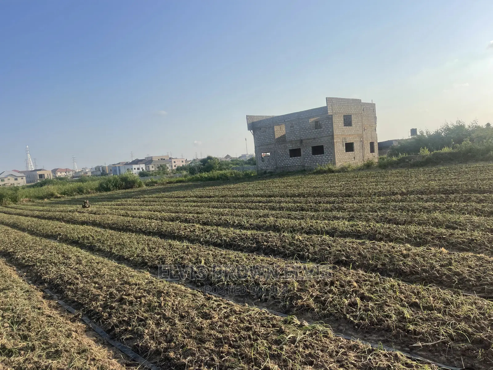 TWO Plots of Land for Sale at West Trasacco