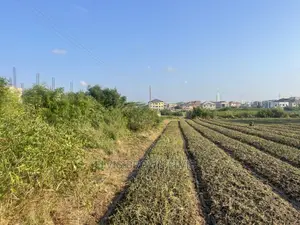 TWO Plots of Land for Sale at West Trasacco