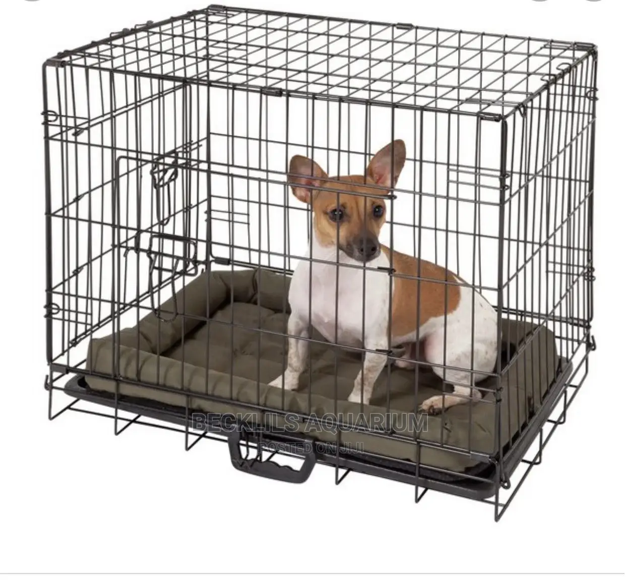 Dog Cages(Indoor)
