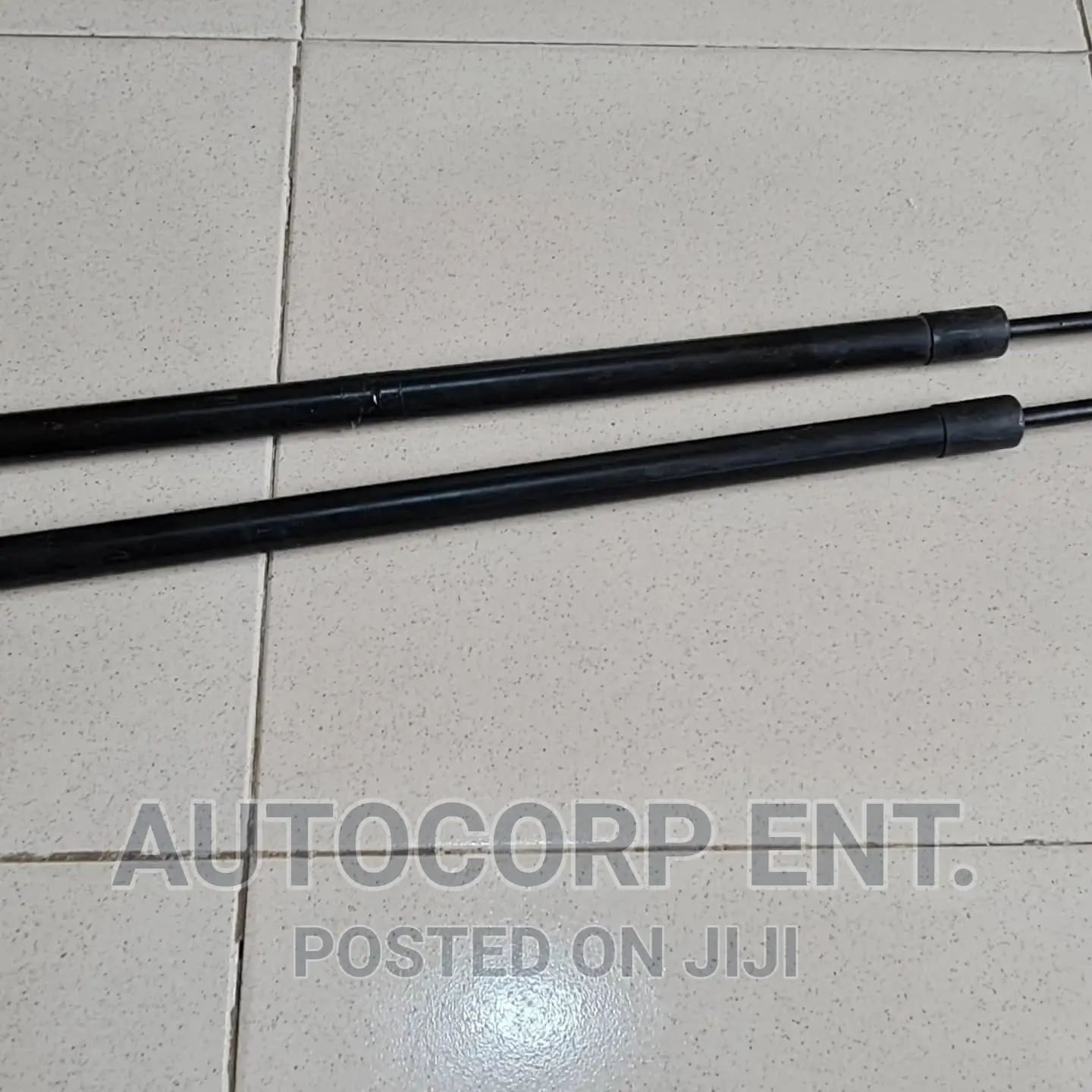 2013 - 2016 Ford Escape Manual Boot Struts