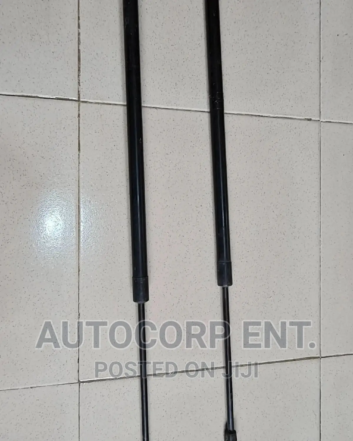 2013 - 2016 Ford Escape Manual Boot Struts