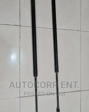 2013 - 2016 Ford Escape Manual Boot Struts
