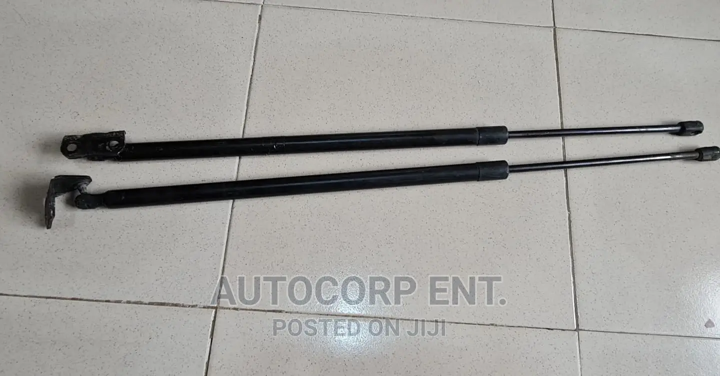 2013 - 2016 Ford Escape Manual Boot Struts