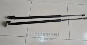 2013 - 2016 Ford Escape Manual Boot Struts