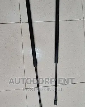 2013 - 2016 Ford Escape Manual Boot Struts