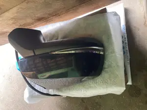 Toyota Rav4 2020 Side Mirror