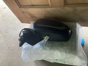 Palisade 2020 Side Mirror