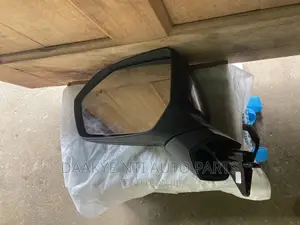 Palisade 2020 Side Mirror