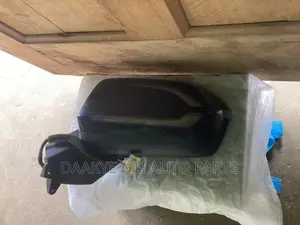 Palisade 2020 Side Mirror
