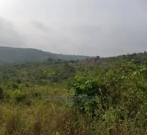 7 Acres of Land at Kpone Barrier
