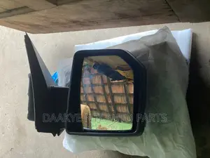 F150 2019 Side Mirror