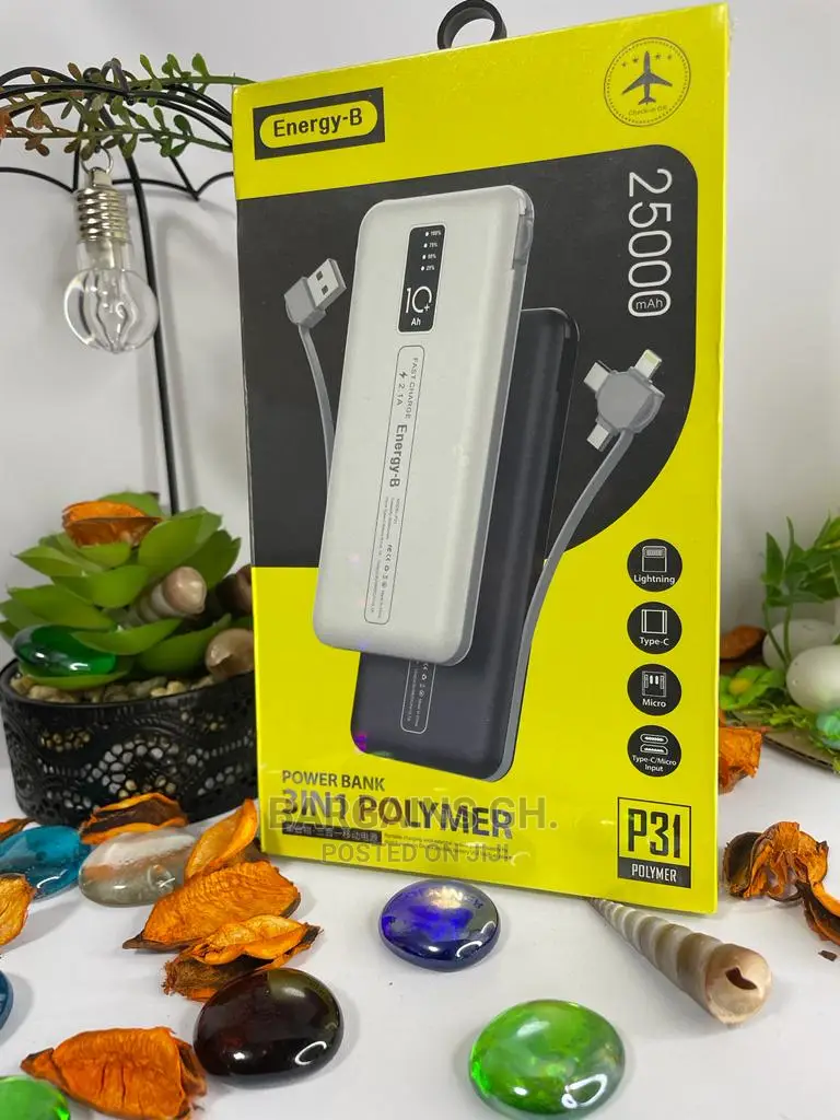 Energy-B Super Fast Charging 25000mah Power Bank
