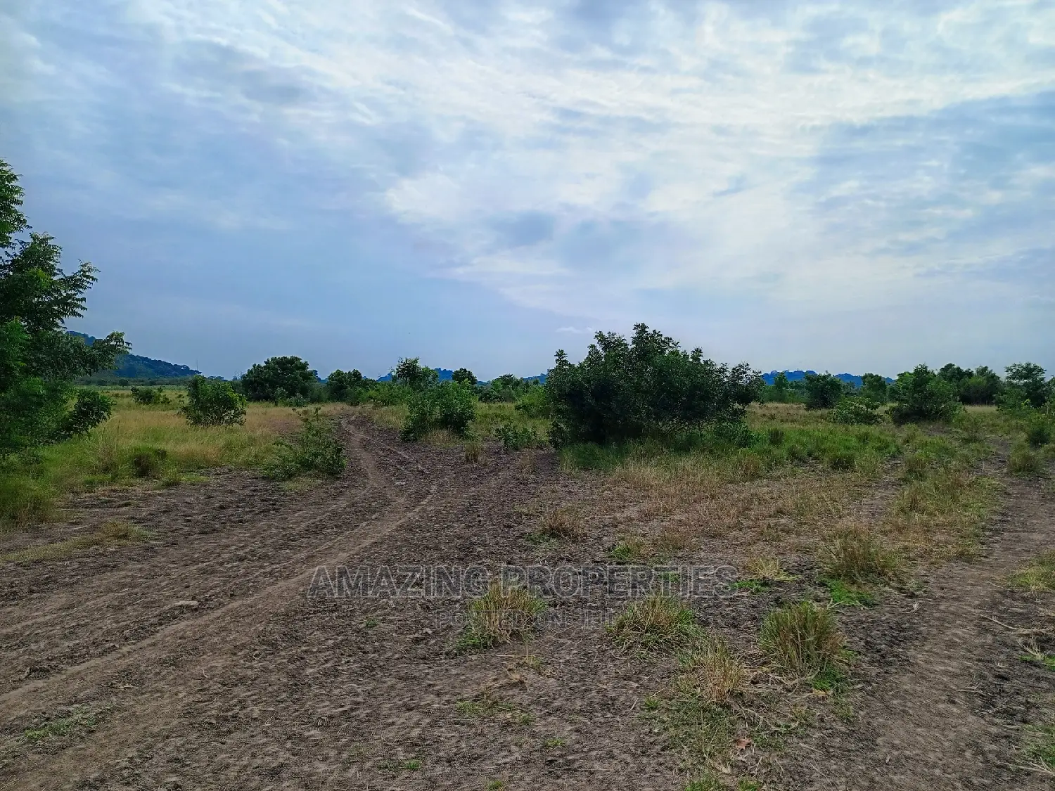 50acres of Land Available for Sale at Akuse
