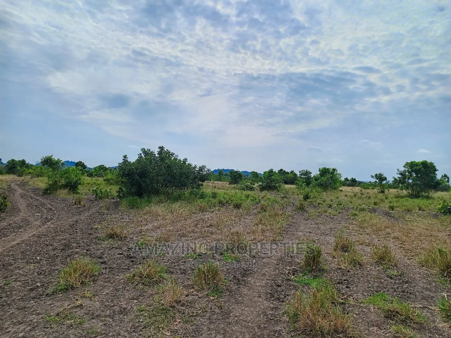 50acres of Land Available for Sale at Akuse