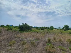 50acres of Land Available for Sale at Akuse