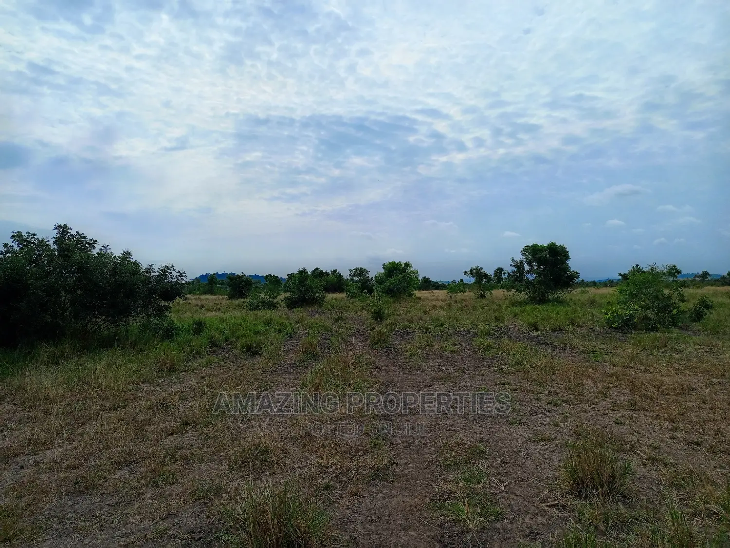 100acres of Land Available for Sale at Akuse Junction in Akuapim North