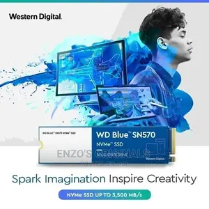 1tb Wd Blue Sn570 Nvme M.2 Ssd Original