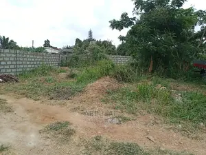 It Is Title Land