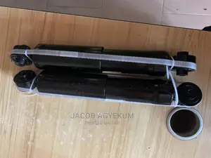 Toyota R4 Back Shocks Absorber 2014/217