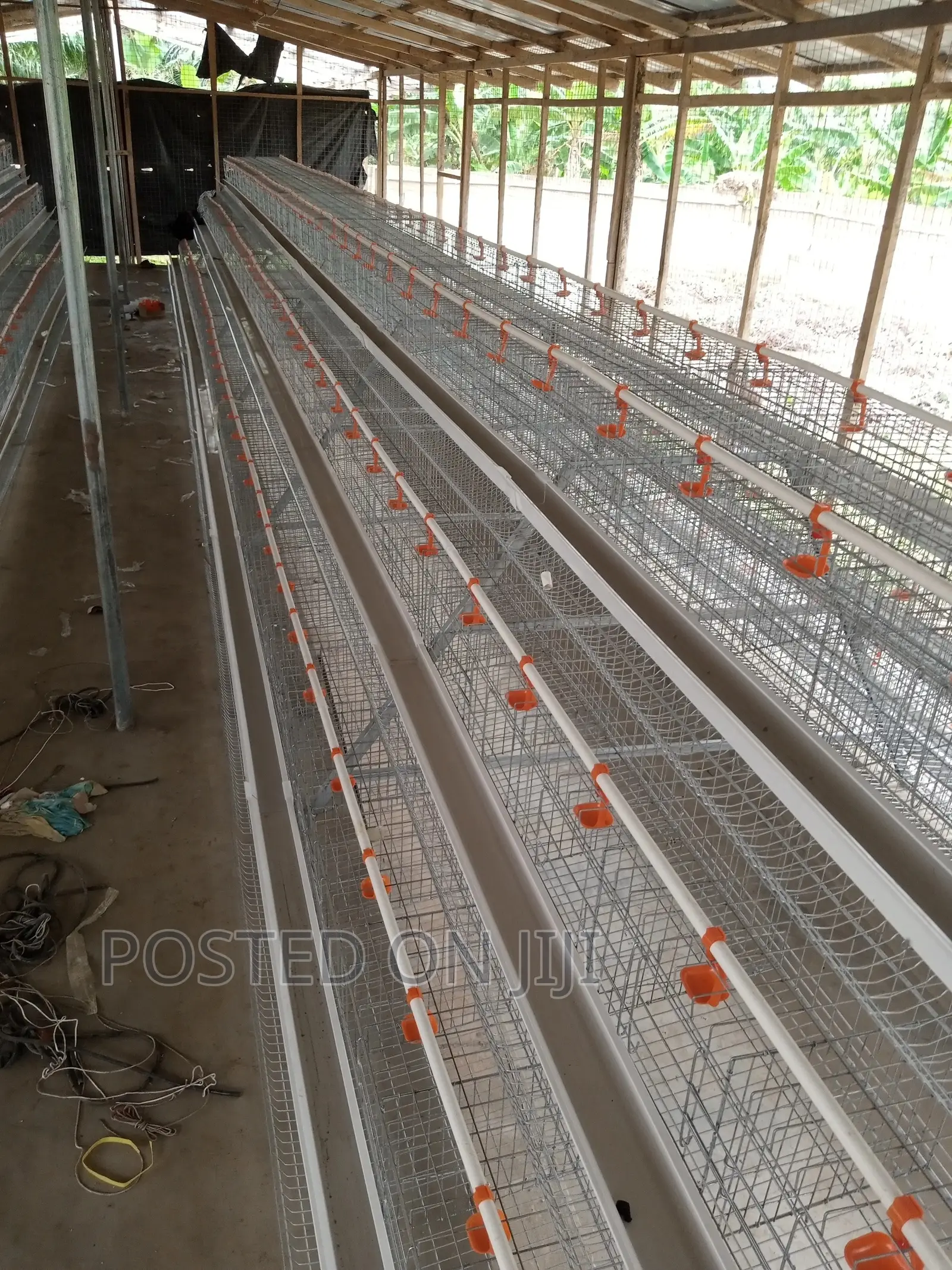 Poultry Chicken Cage