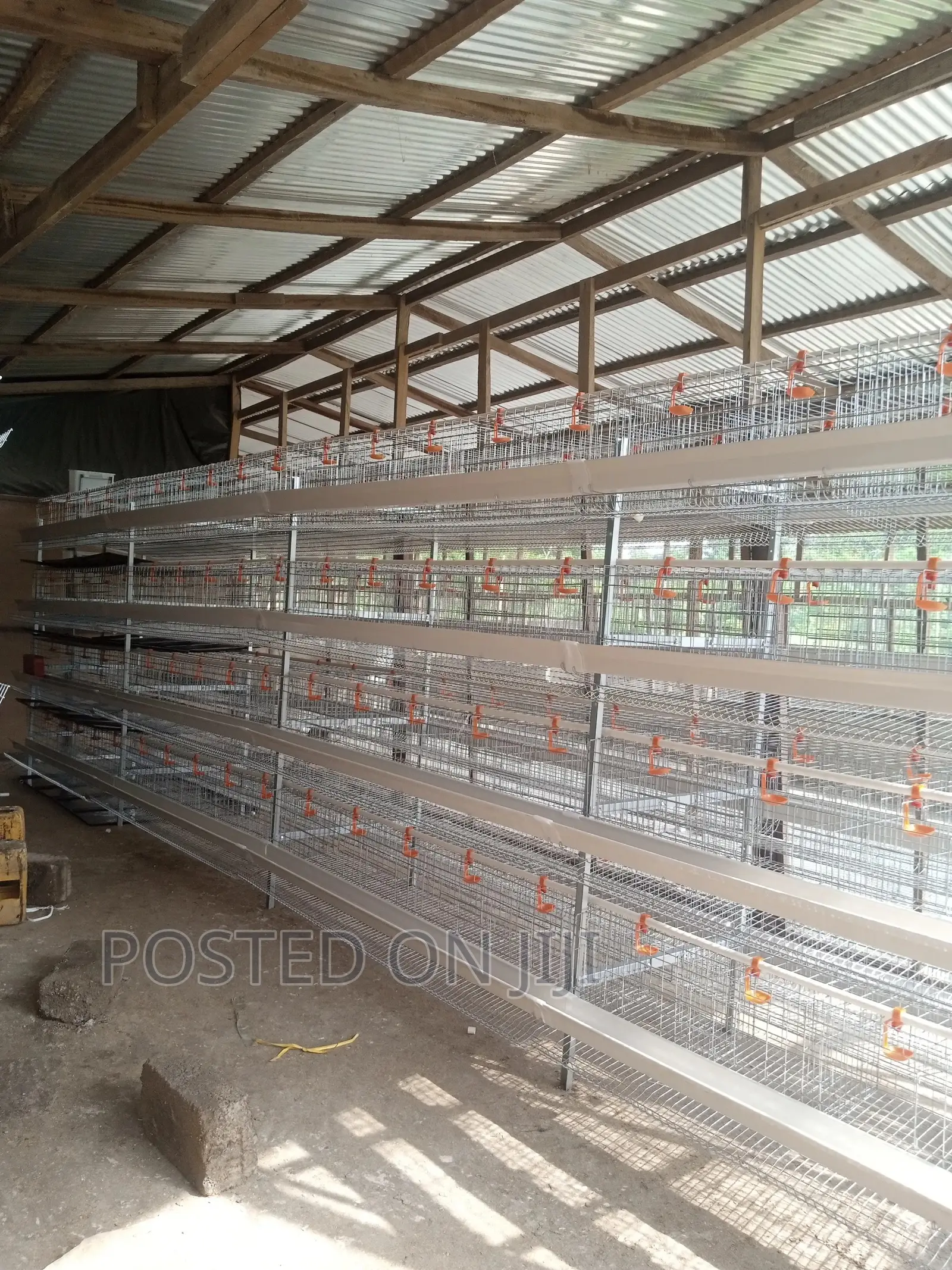 Poultry Chicken Cage