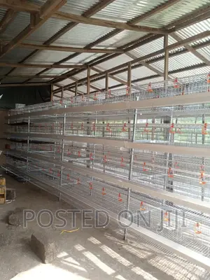 Poultry Chicken Cage