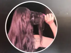 Hair Dryer With Brush