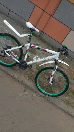 White Gaint Exercise Bike