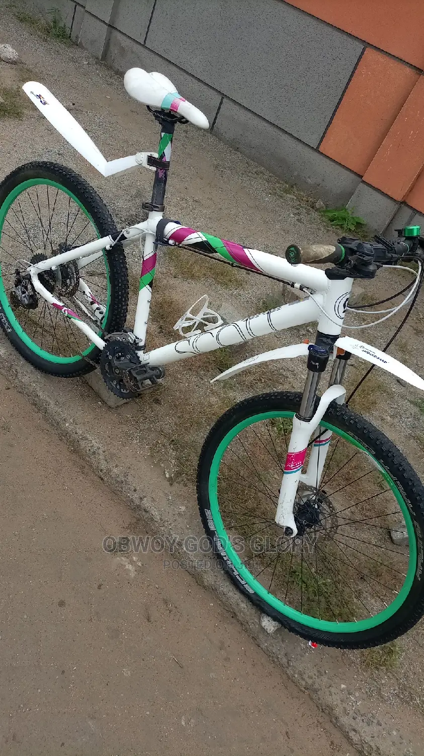 White Gaint Exercise Bike