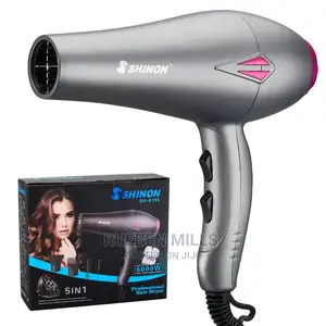 Hair Dryer Shinon