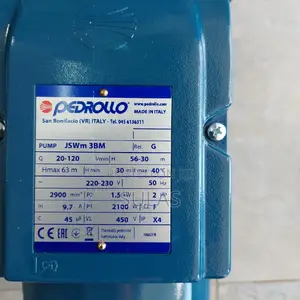 2HP Pedrollo Self Priming Pump