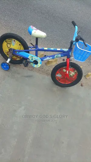 Spider Kids Bike