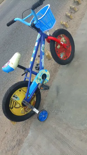 Spider Kids Bike