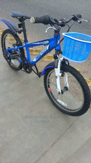 Sporty Kids Bike