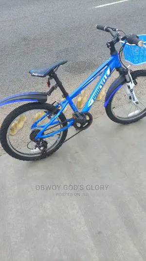 Sporty Kids Bike