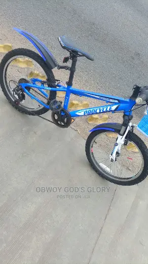 Sporty Kids Bike