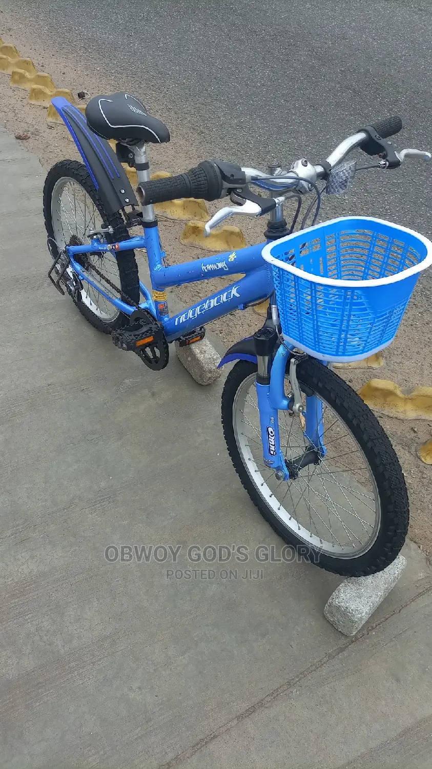Kids Mountain Biking