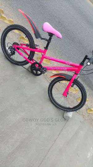 Red Sporty Kids Bike