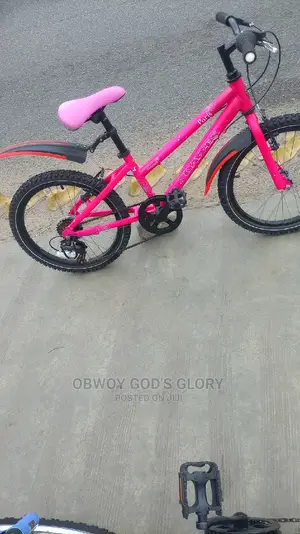 Red Sporty Kids Bike
