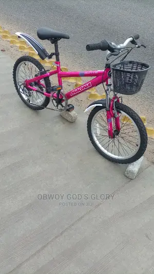 Mountain Bike 4 Kids