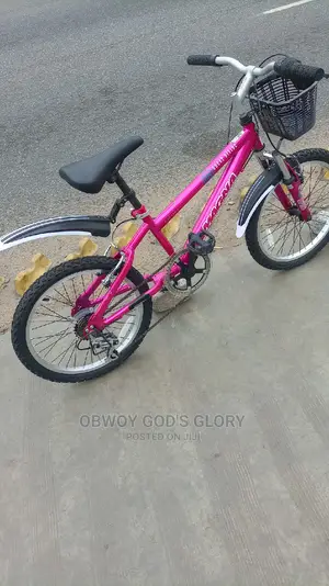 Mountain Bike 4 Kids